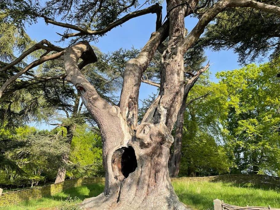 Masons Cottage, An Idyllic Retreat In An Area Of Outstanding Beauty, Close To Blenheim Palace, Oxford & The Cotswolds Stonesfield エクステリア 写真